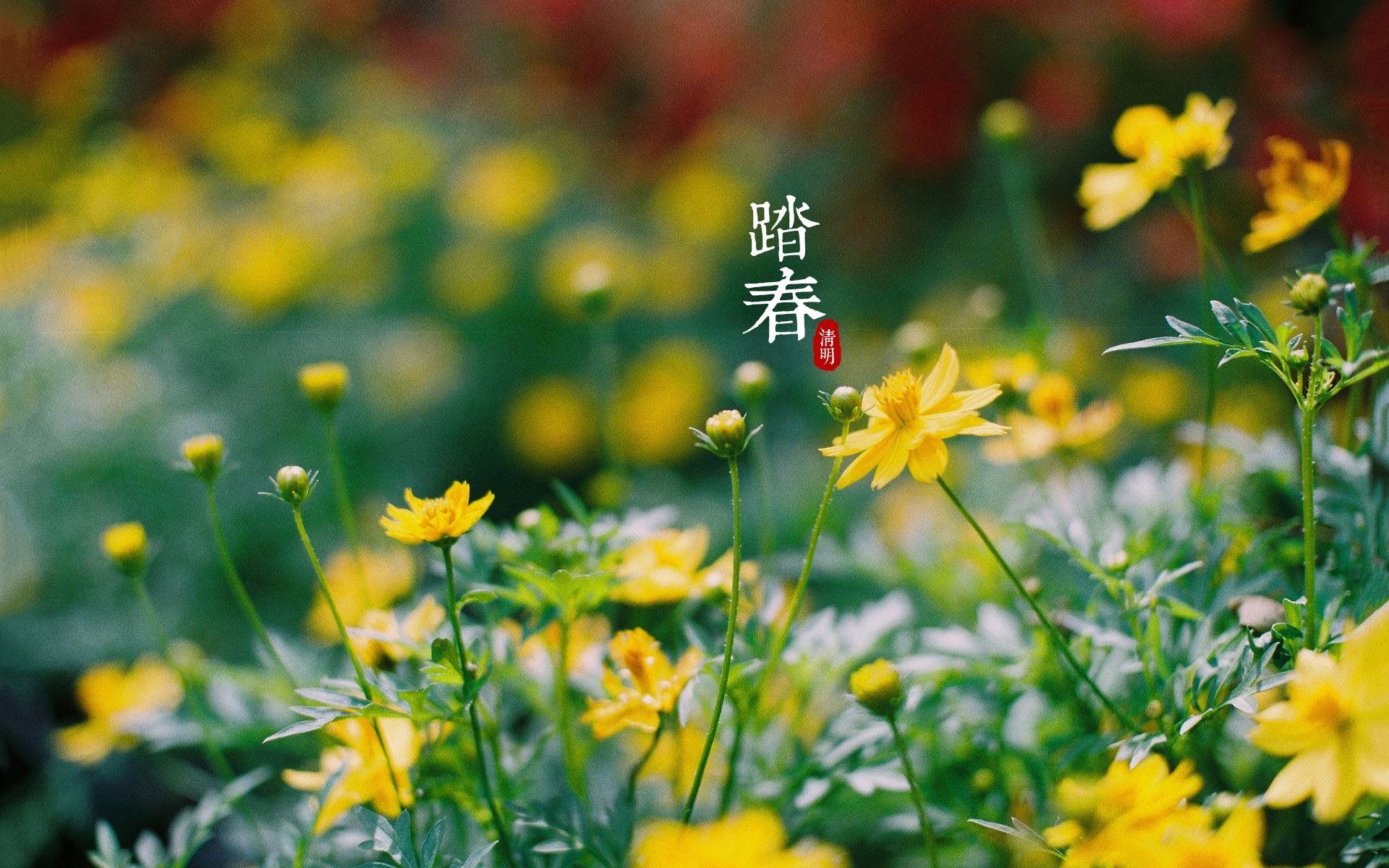 【艾爾文資訊】清明踏青節(jié)，出游好時(shí)光